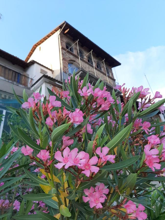 Le Case Di Angelina - Langhe Loft & Suites Farigliano Eksteriør billede